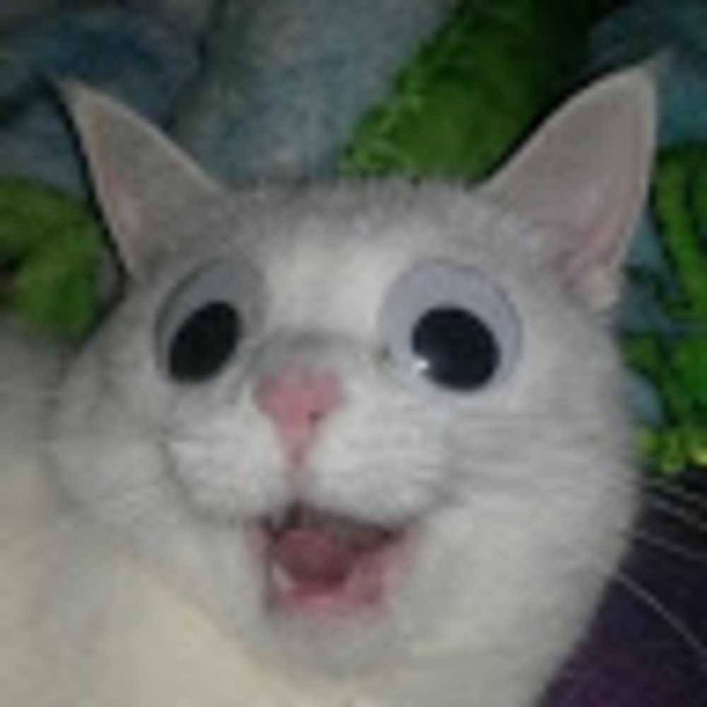 Meet your Posher, It's me